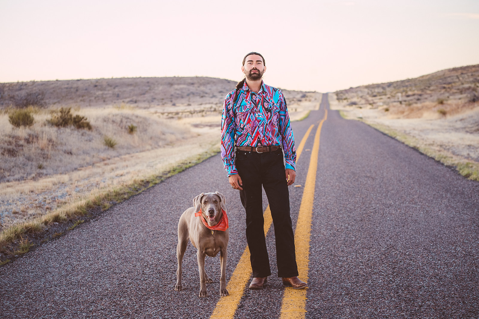 Open road with a dog